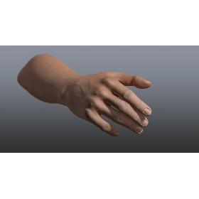 Rigged and Animated Hand (Male)